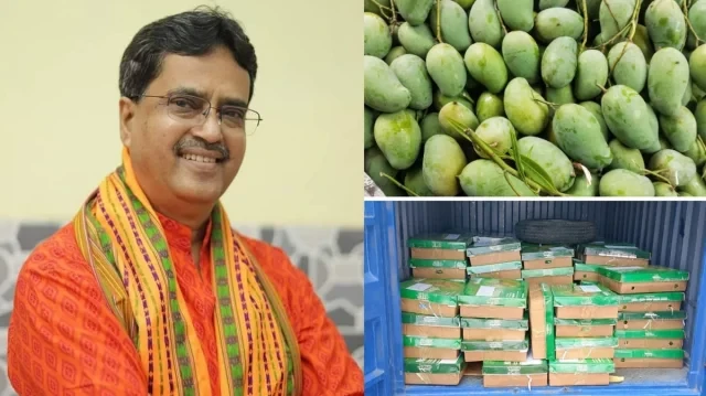 আখাউড়া সীমান্ত দিয়ে আগরতলায় পৌঁছাল ৬০০ কেজি আম, ত্রিপুরার মুখ্যমন্ত্রীর জন্য বিশেষ শুভেচ্ছা