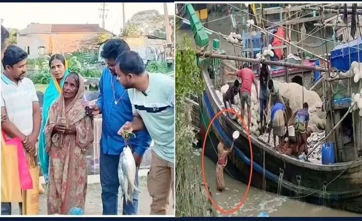 হিন্দু বলে মাছ ভিক্ষা না পাওয়া সুশীলা রানীর পাশে তরুণরা, দিলেন ইলিশসহ বাজার ও আর্থিক সহায়তা