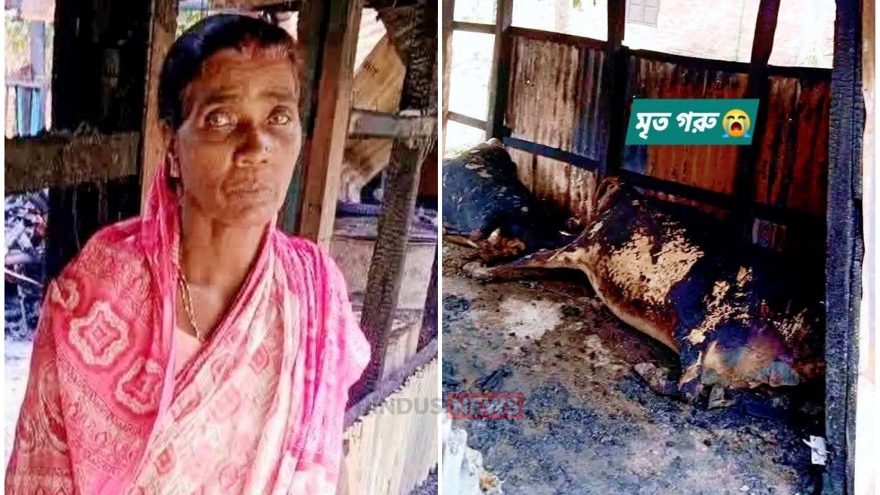 মিরসরাইয়ে হিন্দু বৃ্দ্ধার বসতঘরে ভয়াবহ অগ্নিকাণ্ড, পুড়ে মারা গেল ২টি গরু